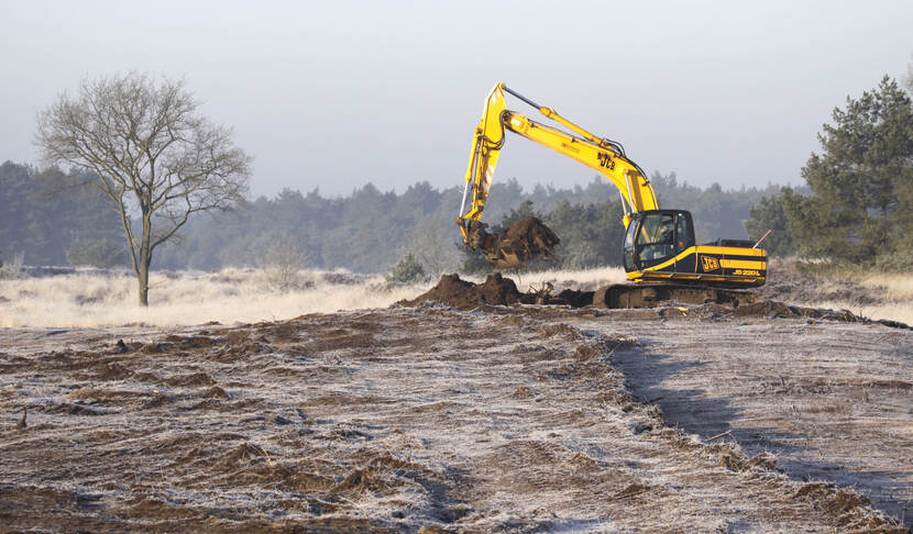 Afbeelding van natuurherstelwerkzaamheden in Nationaal Park Grenspar De Zoom