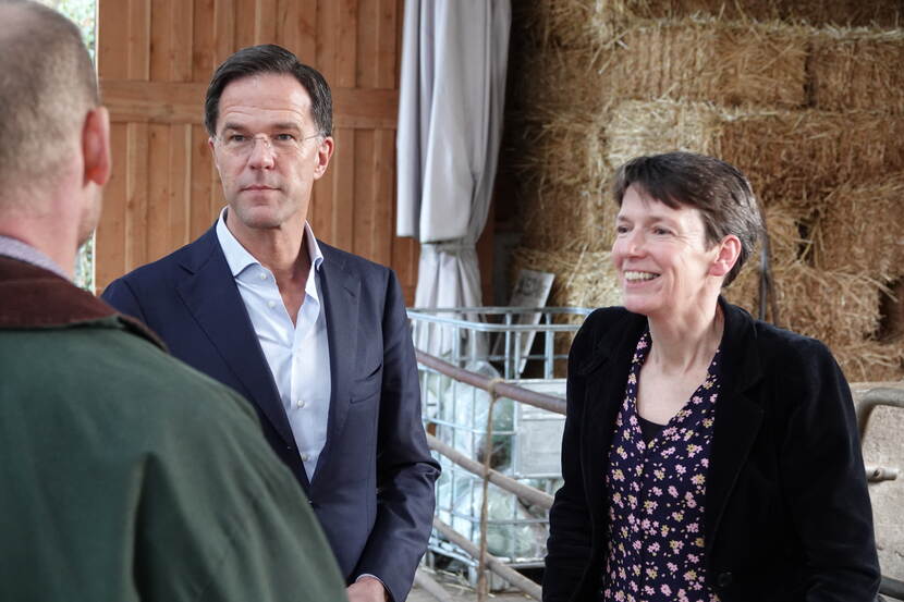 rutte in de stal melkveehouderij